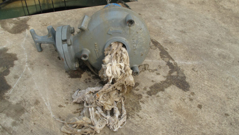 It’s our sewerage system: the dos and don’ts